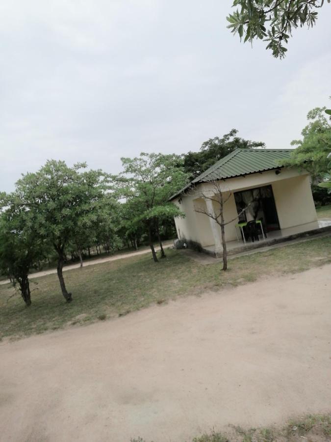 Moholoholo Lodge Acornhoek Экстерьер фото