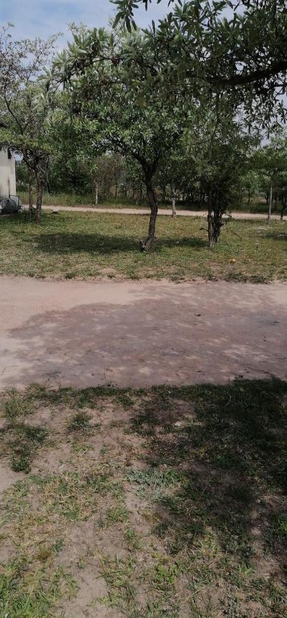 Moholoholo Lodge Acornhoek Экстерьер фото