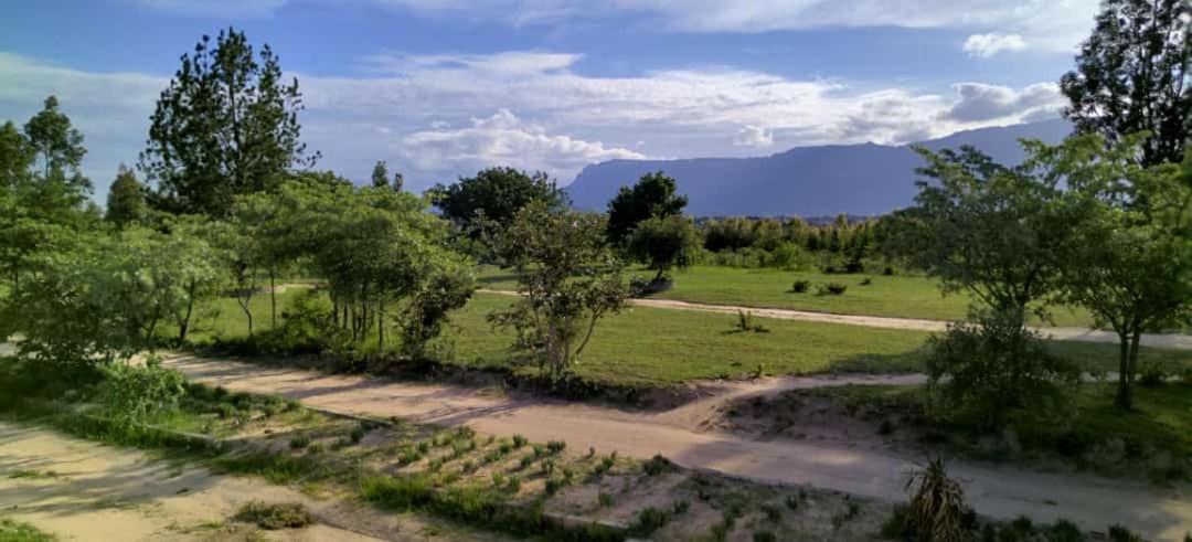 Moholoholo Lodge Acornhoek Экстерьер фото